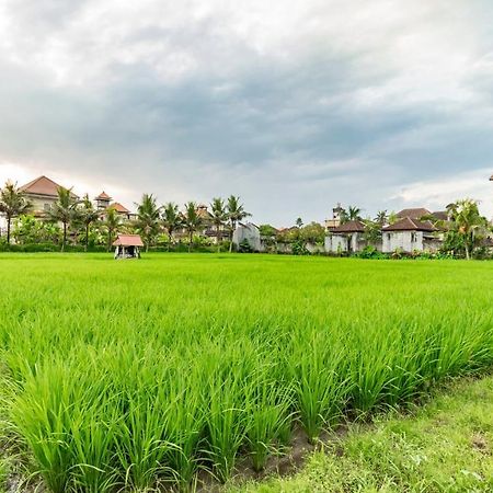 Hotel Juli House By Mahaputra Ubud Exteriér fotografie