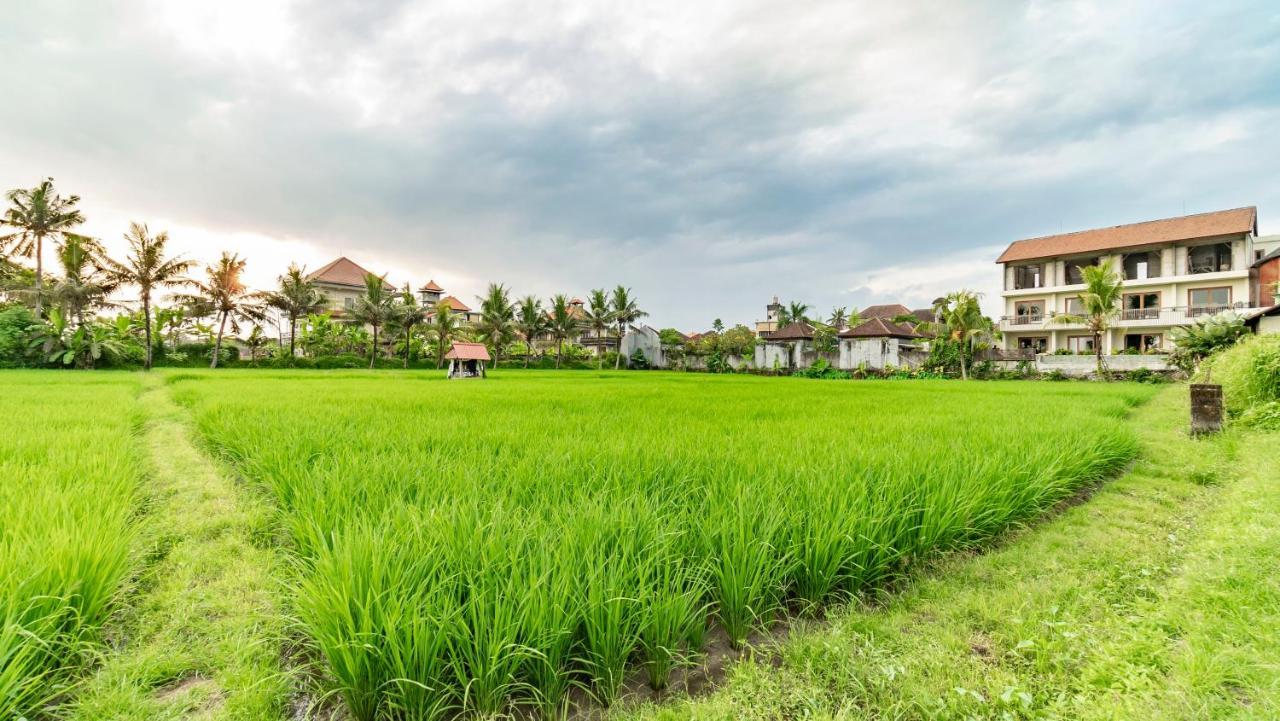 Hotel Juli House By Mahaputra Ubud Exteriér fotografie